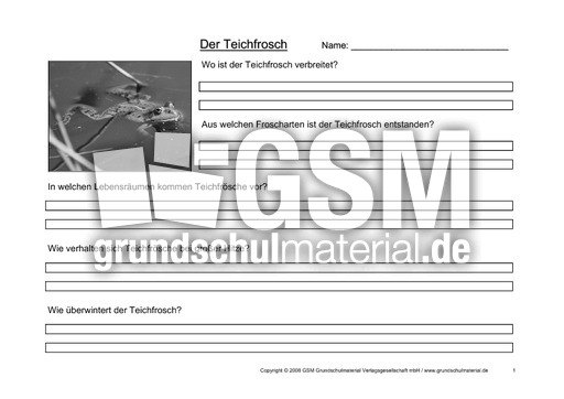 Arbeitsblatt-Teichfrosch-1.pdf